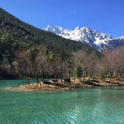 Phạm Ngọc Giàu avatar