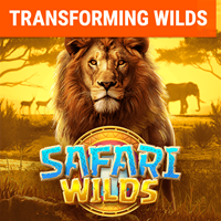 Safari Hoang Dã